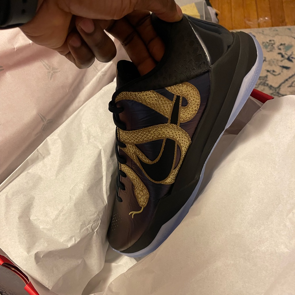 Kobe V Protro Eggplant